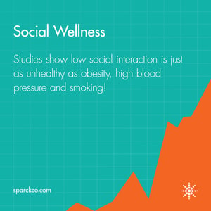 Social Wellness